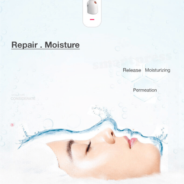 Facial Steamer