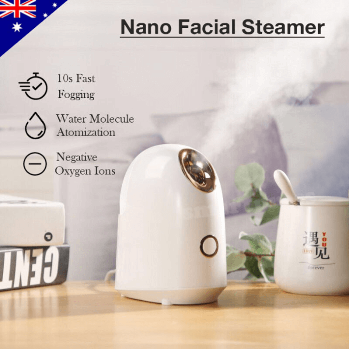 Facial Steamer