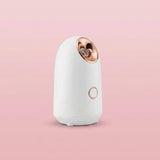 Nano Ion Facial Steamer Thermal Sprayer